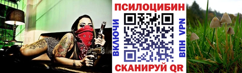 купить закладку  Белореченск  Галлюциногенные грибы Psilocybine cubensis 