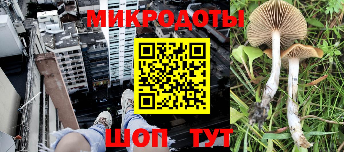 Галлюциногенные грибы Cubensis  Вход с VPN  Белореченск 
