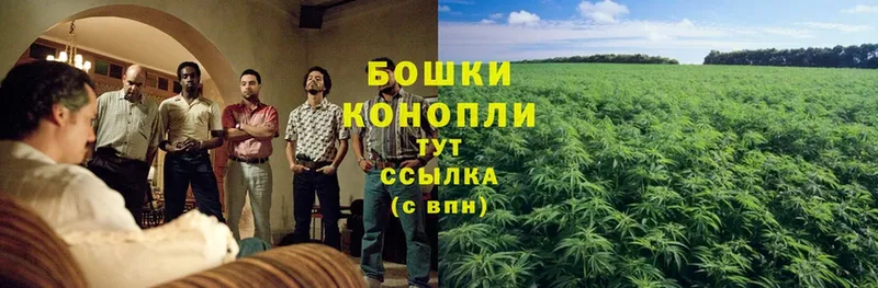 Марихуана THC 21%  наркотики  Белореченск 