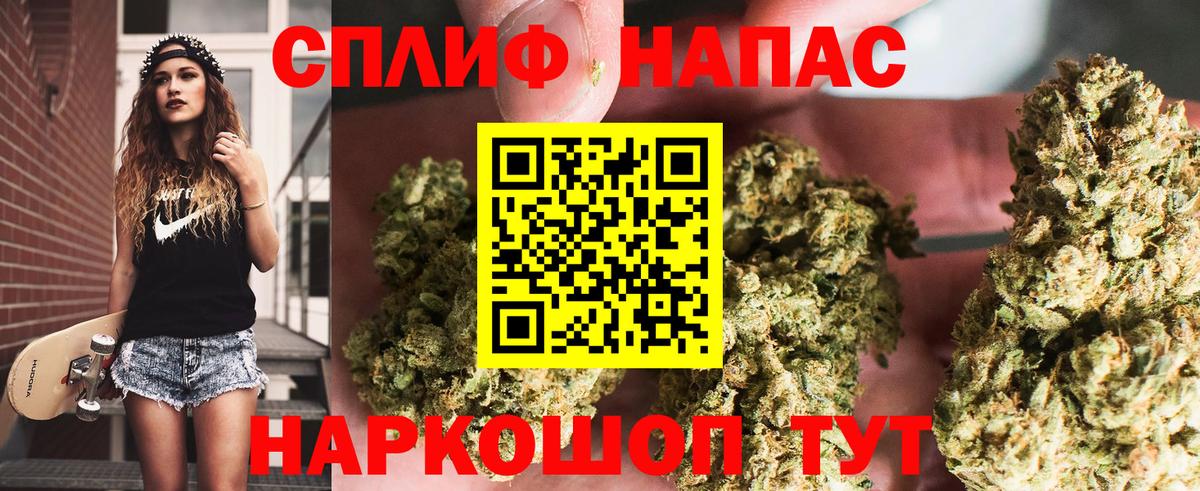 Бошки Шишки планчик Белореченск